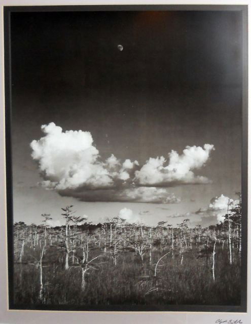CLYDE BUTCHER BLACK&WHITE PHOTOGRAPH. Moonrise"": CLYDE BUTCHER BLACK AND WHITE PHOTOGRAPH. Moonrise" H - 24", W - 18" (image only). Florida landscape. Signed lower margin. Matted and framed under glass.