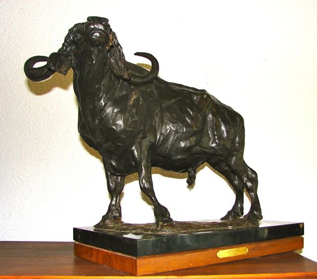 Bronze Sculpture, T. D. Kelsey Bodyguard".": Depiction of an African Cape Buffalo. Height - 16", Width - 16".