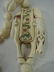 Chinese Ivory Beaded Necklace. - 2