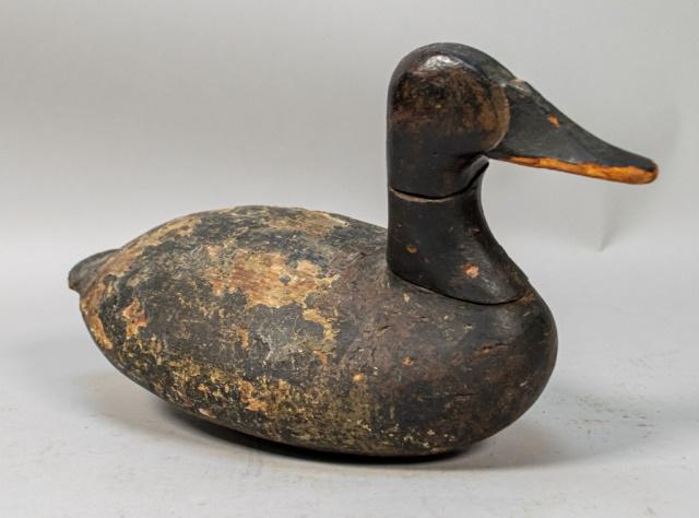 Painted Eye Decoy Duck (1 of 9)