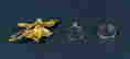 item-113505773=2