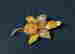 item-113505773=3
