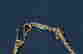 item-113505971=6