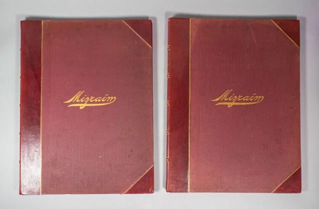 Ancient Egypt or Mizraim by Samuel Augustus Binion: Samuel Augustus Binion (1853-1914). 2 volumes. Edition De Lux 204 of 800. Published: New York, Henry G Allen & Company. Copyright: 1887 American Polytechnic Co. Limited. 72 Chromolithographs and Color