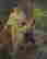 item-118365395=3