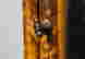 item-131687919=5