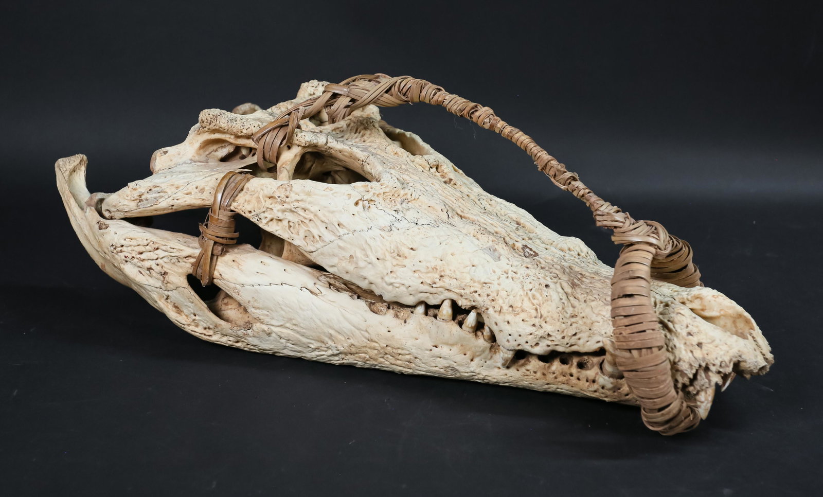 Crocodile Skull: Crocodile Skull with woven rattan handles. 23" L x 10" W. Missing front teeth and most teeth to the left side of head.
