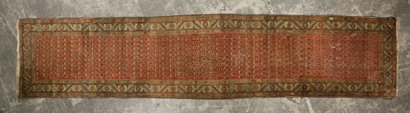 Sarabend Runner (1 of 8)