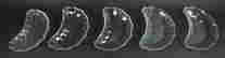 item-131688168=10