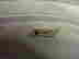 item-131688279=12