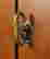 item-136402205=12