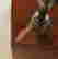 item-136402205=17