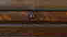 item-136402265=7