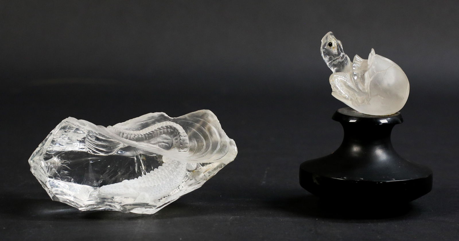 Crystal Turtle and Alligator (1 of 12)