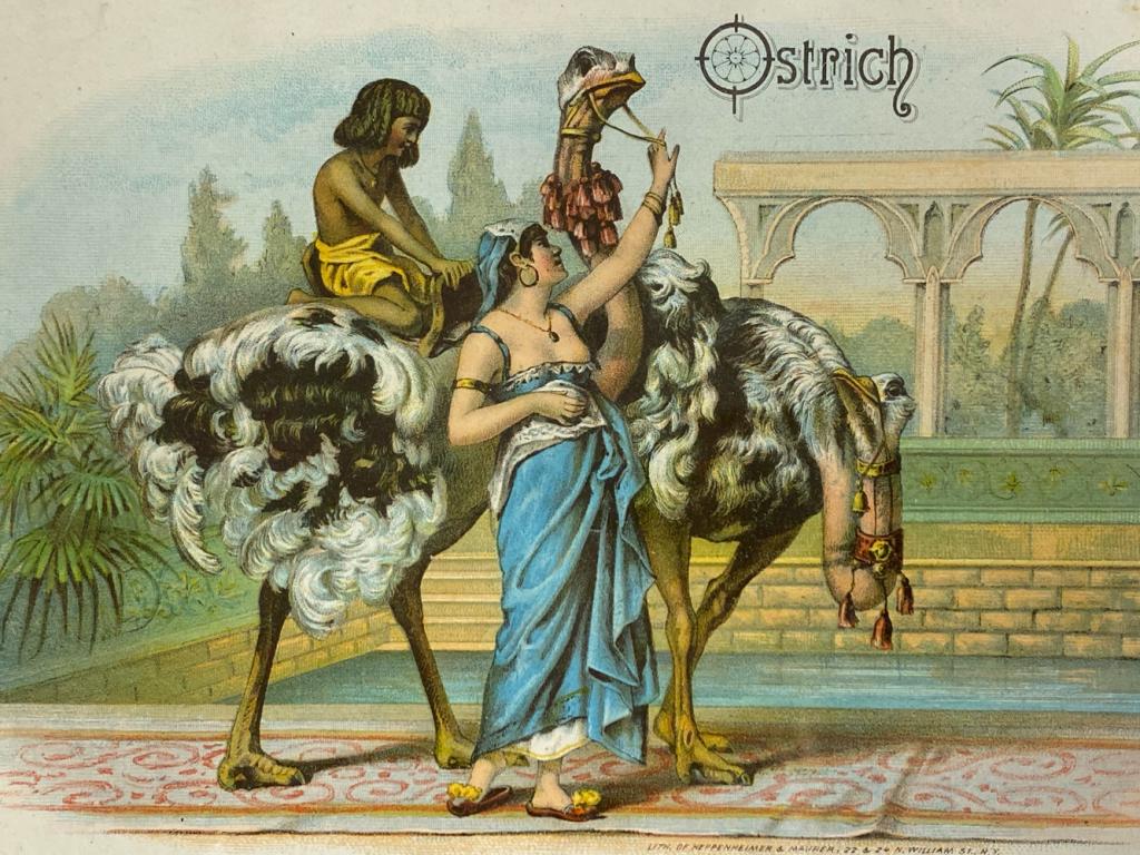 Heppenheimer & Maurer Ostrich Cigar Box Label (1 of 6)