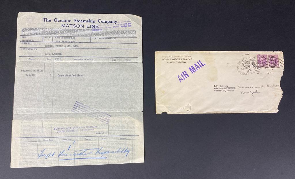 Shipping Document for Stuffed Head to Harvard (1 of 4)