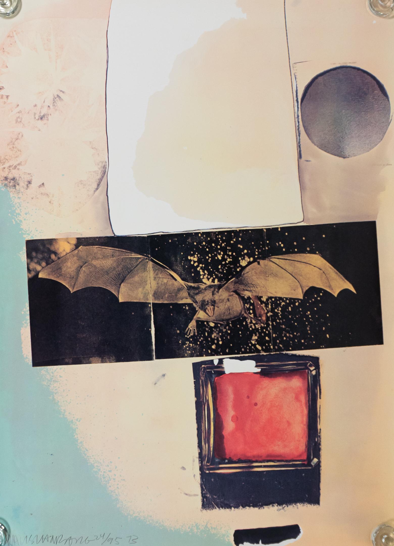 Robert Rauschenberg Offset Lithograph/Screenprint (1 of 9)