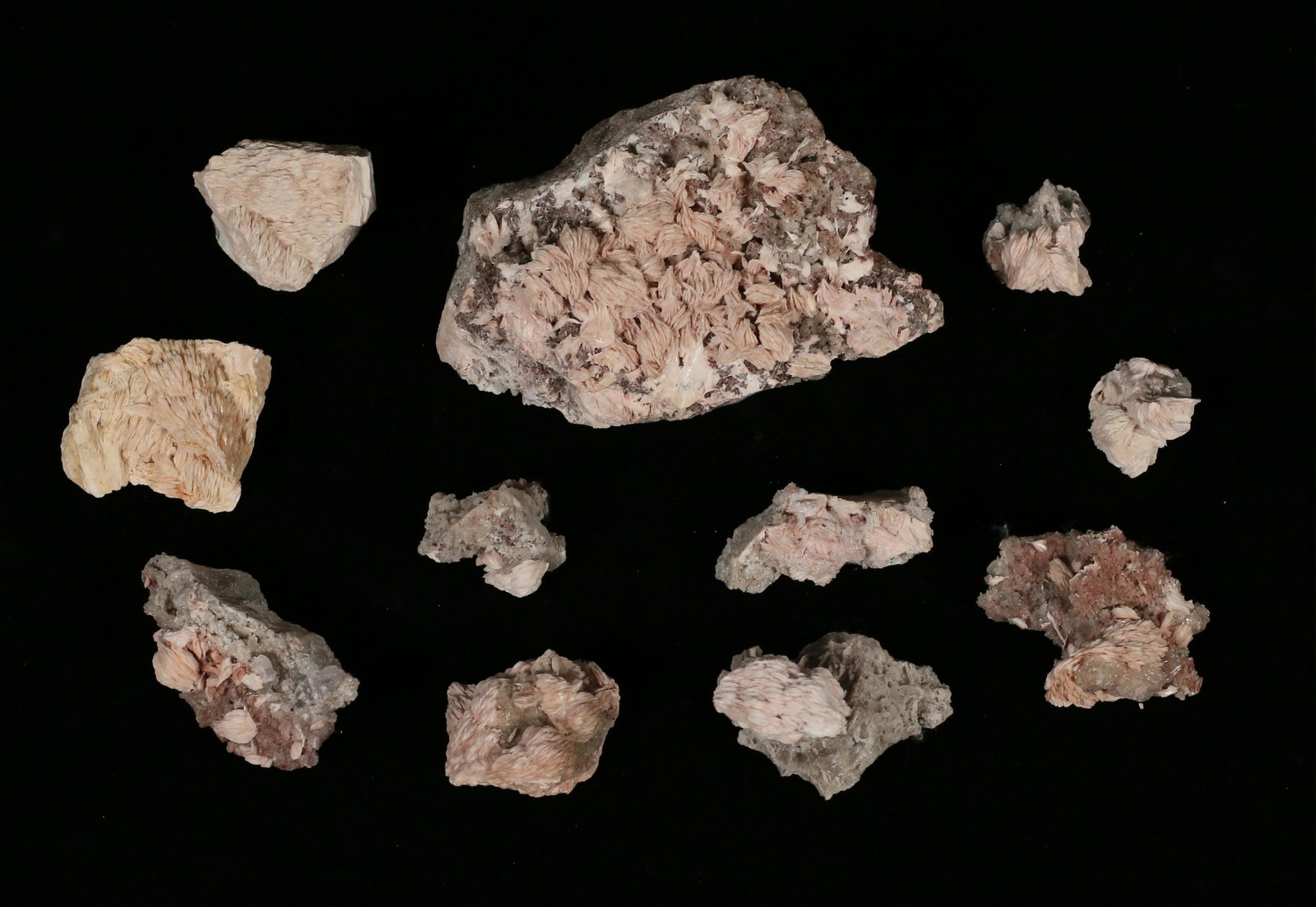 11 Pink Barite Specimens Crested from Mexico (1 of 10)