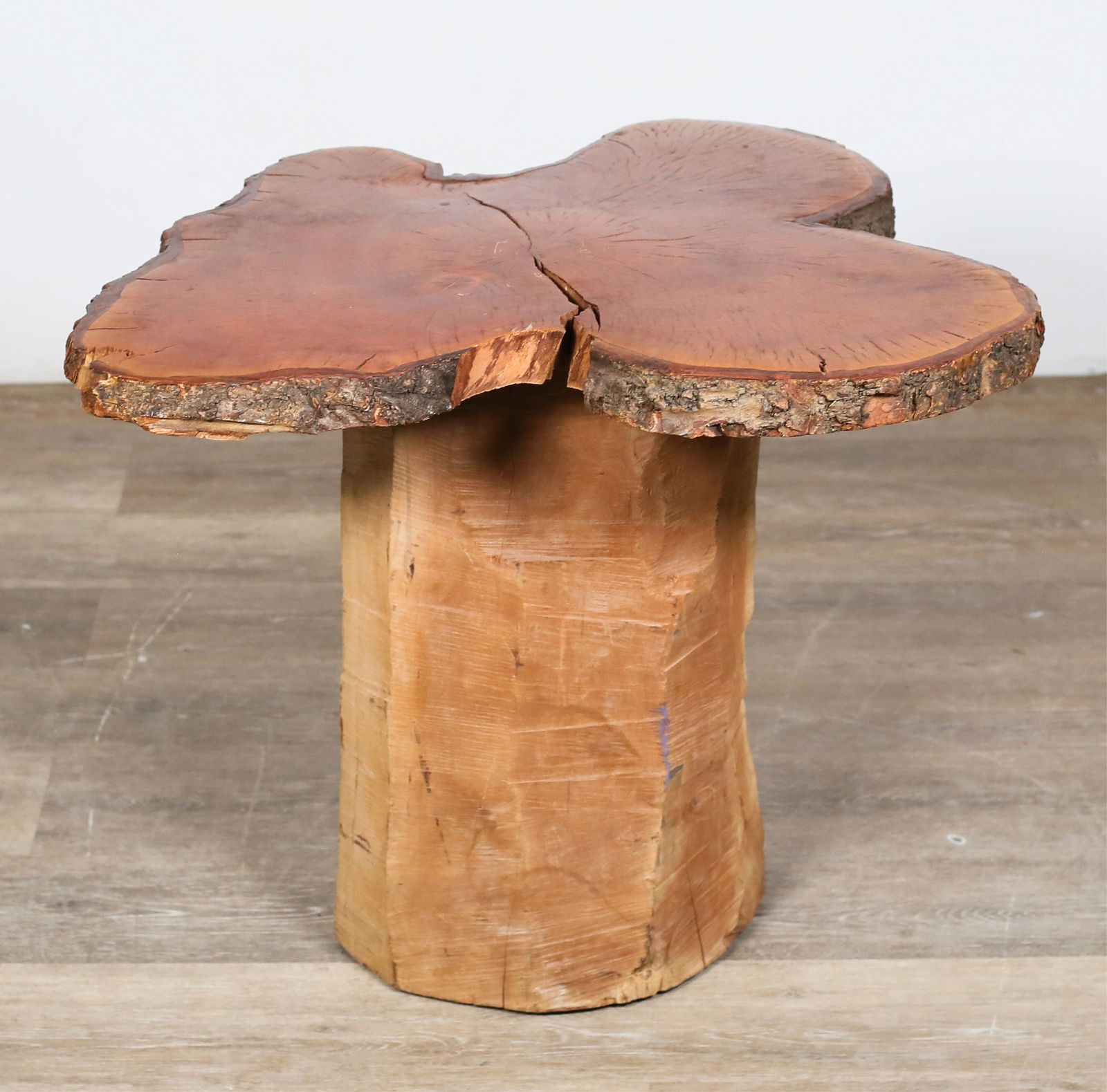Rustic Live Edge Tree Trunk End Table (1 of 15)