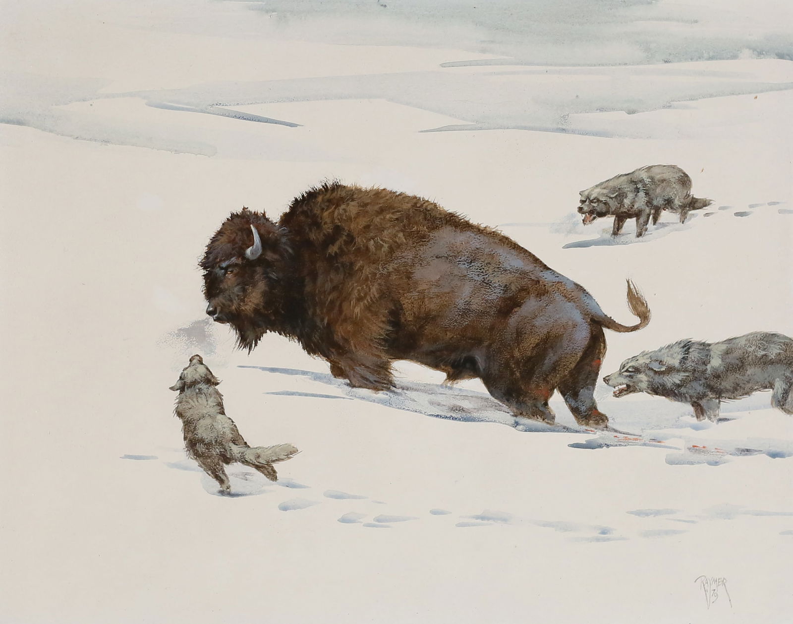 Ron Raymer Acrylic on Masonite Bison & Wolves: Ron Raymer (American, 1943-2018). Acrylic on masonite bison with wolves in winter landscape. Signed and dated Raymer 79 lower right. 15 5/8" x 19 3/4" (with frame 24" x 28").