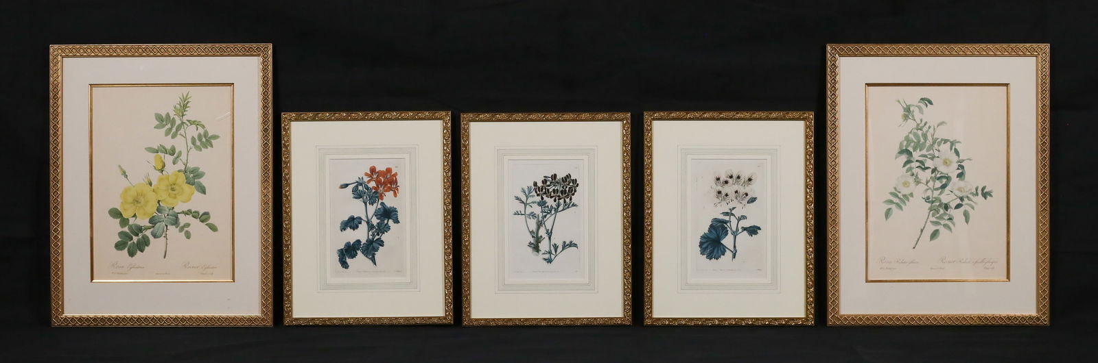 5 Botanical Prints & Engravings Smith & Redoute (1 of 20)