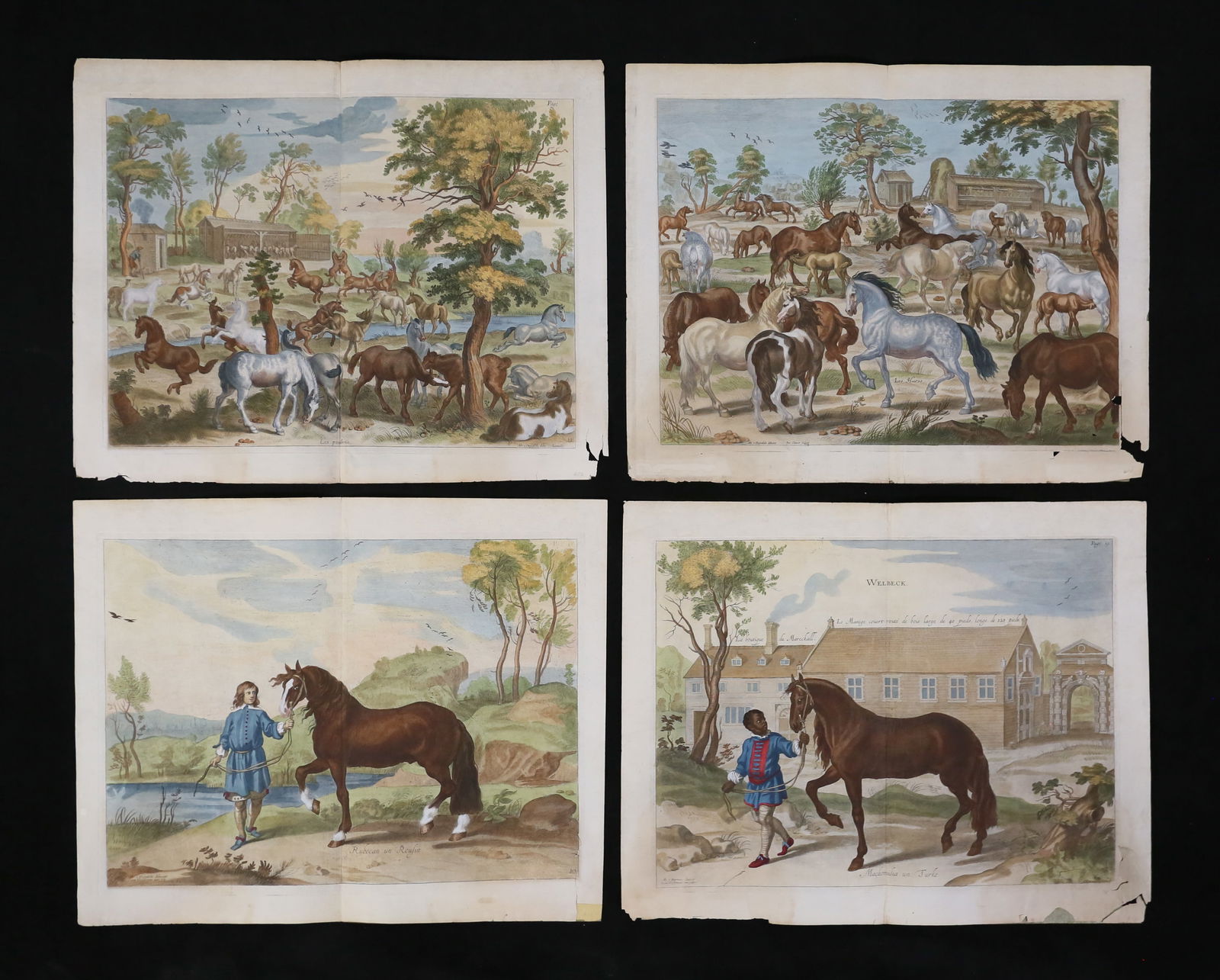 After van Diepenbeeck 4 Equestrian Engravings (1 of 20)