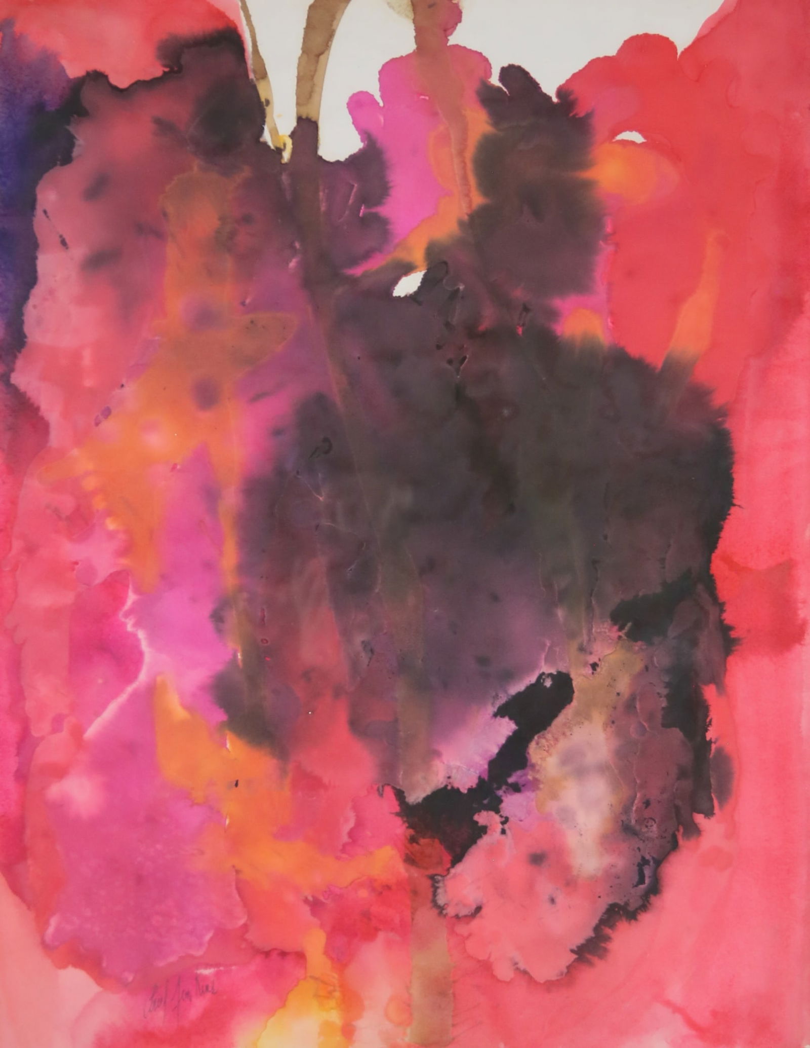 Paul Jenkins Watercolor Phenomena Dragon Seed (1 of 12)