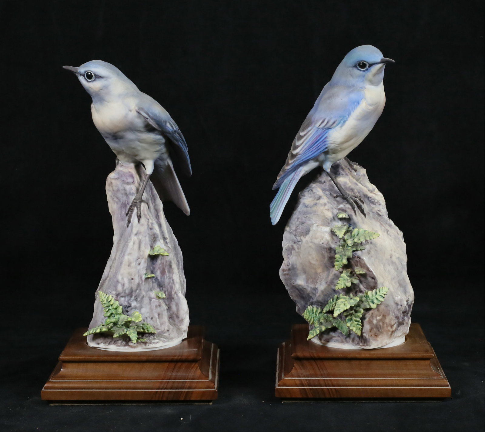 Royal Worcester Pair Mountain Bluebird Figures (1 of 19)