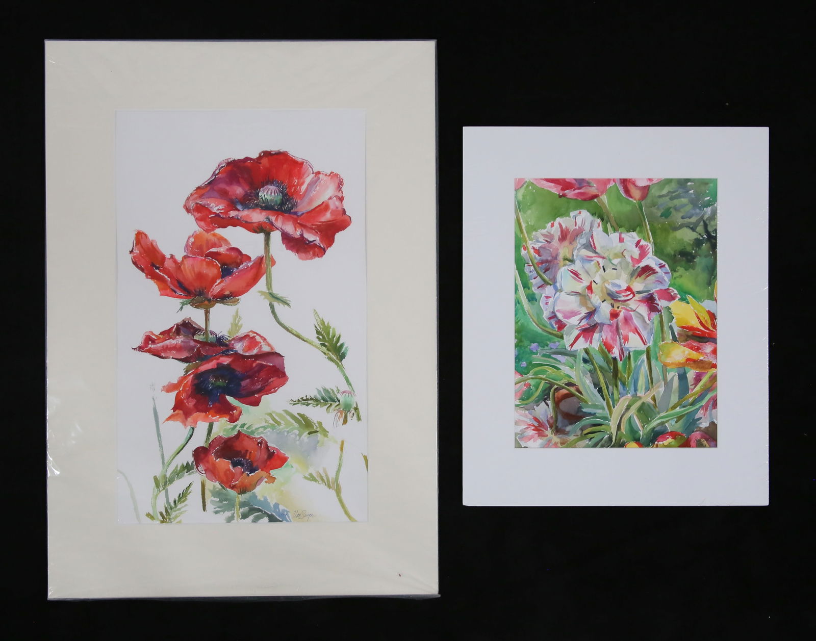 Alan Signer 2 Watercolors Flowers (1 of 10)