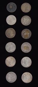 12 Morgan Silver Dollars