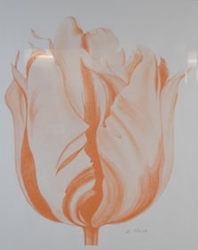 After Lowell Nesbitt Lithograph Tulip