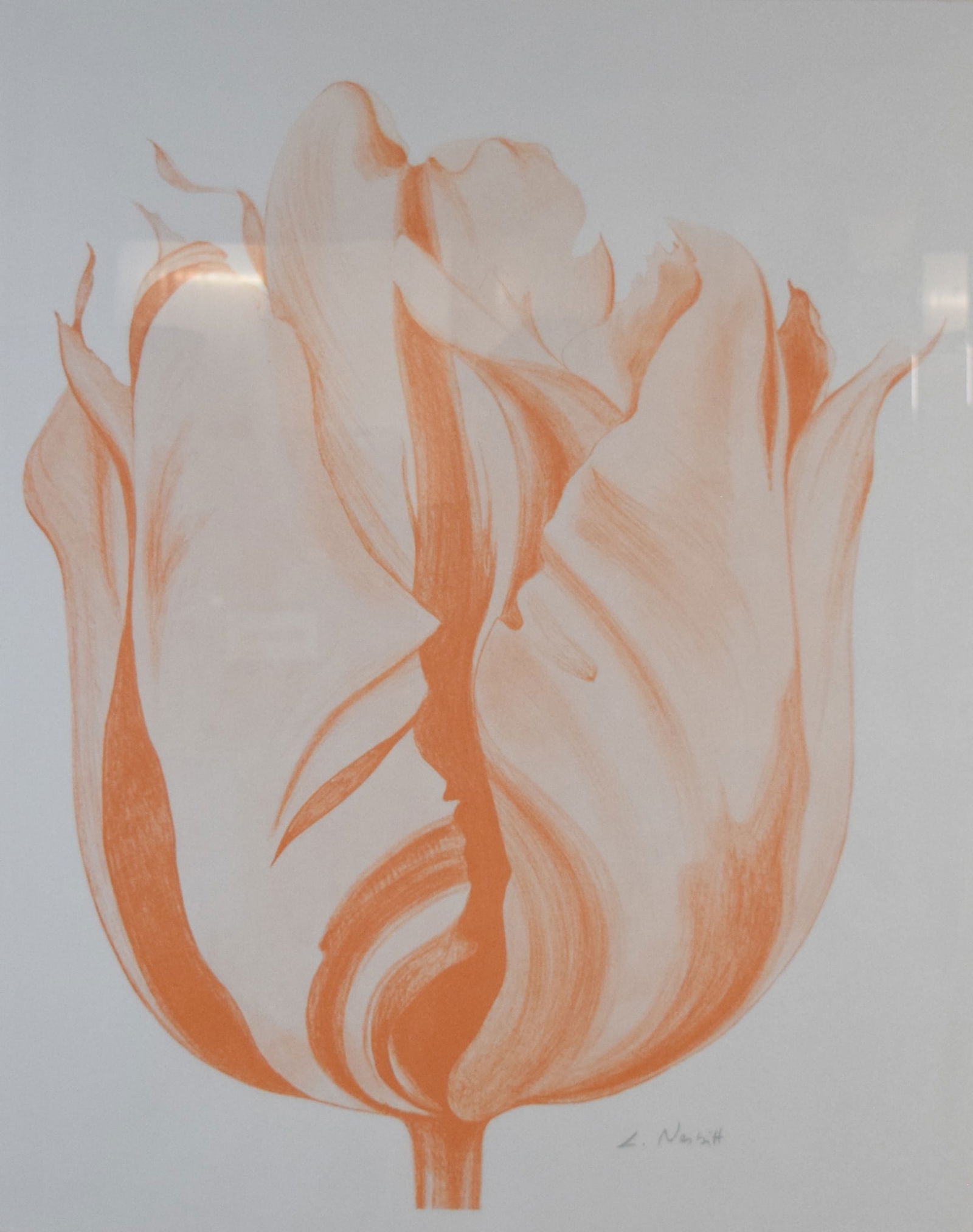 After Lowell Nesbitt Lithograph Tulip (1 of 10)