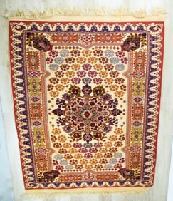 Flat Weave Persian Rug