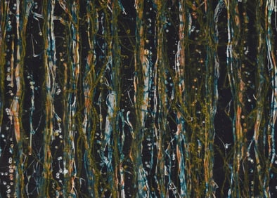 Kim Westcott Drypoint Link Track II