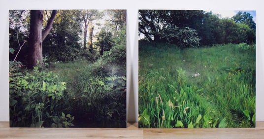 Martin Healy 2 Photograph Prints