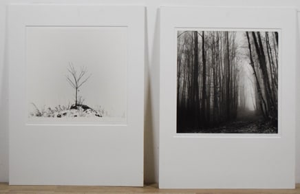 2 Silver Gelatin Prints Landscape