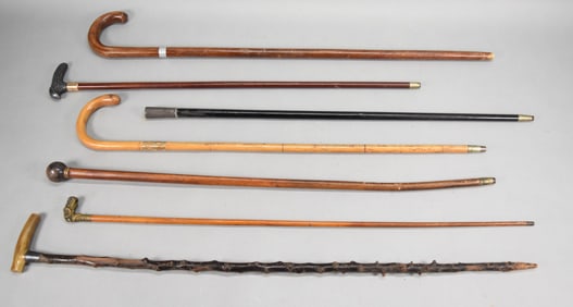 7 Canes & Walking Sticks