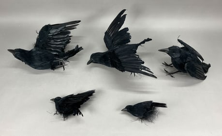 5 Halloween Different Sized Black Crows