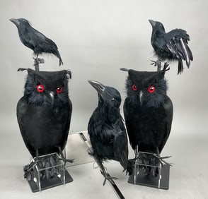5 Halloween Owls and Ravens Decorations