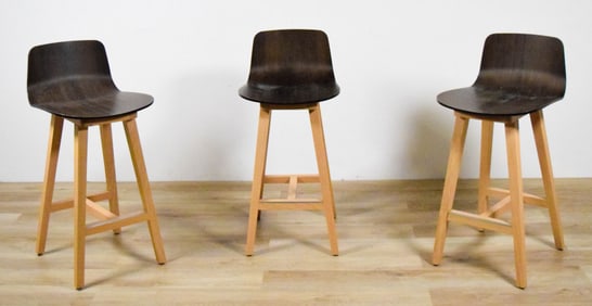 3 Alki Kuskoa Modern Bar / Counter Stools