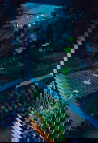 Mary Kocol Photograph Print August Backyard