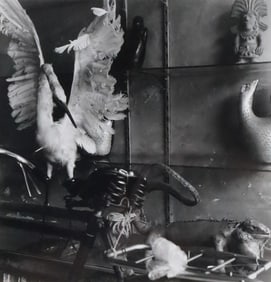 Francisco Toledo Gelatin Silver Print Swan