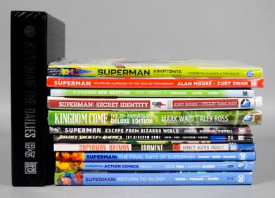 12 DC Comics Superman Books Dailies, Kingdom Come