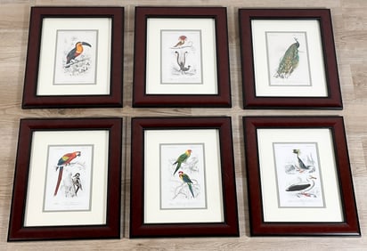 Edouard Travies 6 Hand Colored Lithos Of Birds