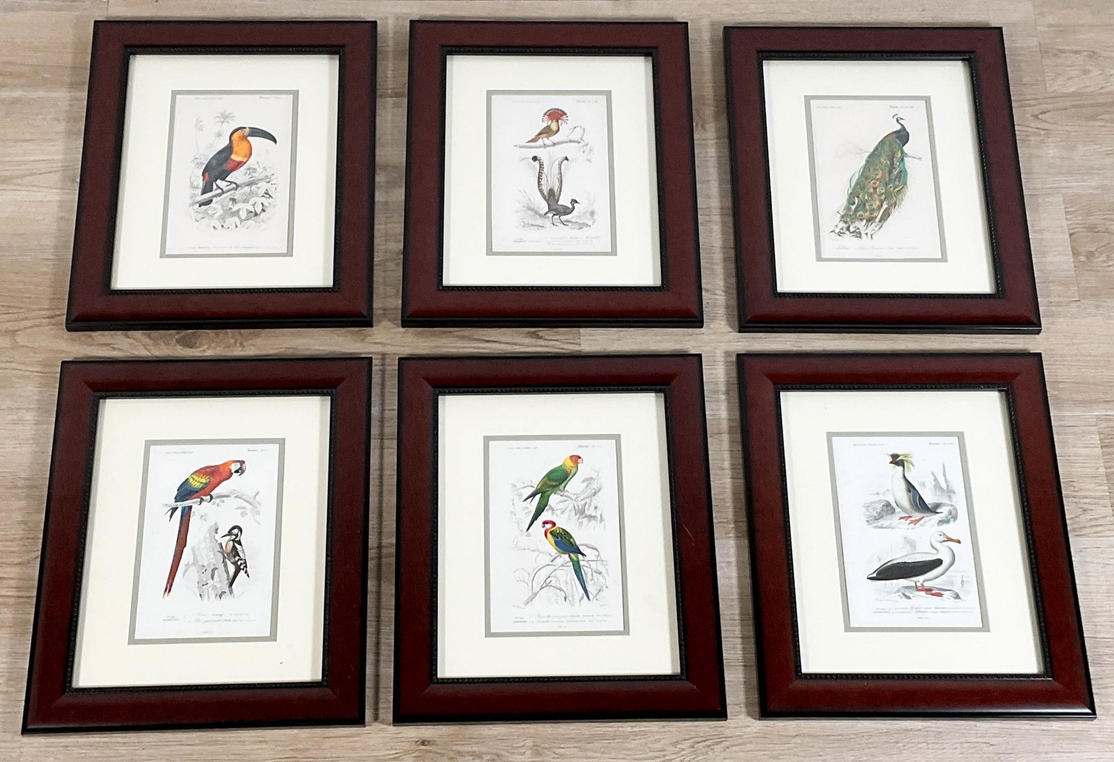 Edouard Travies 6 Hand Colored Lithos Of Birds (1 of 9)