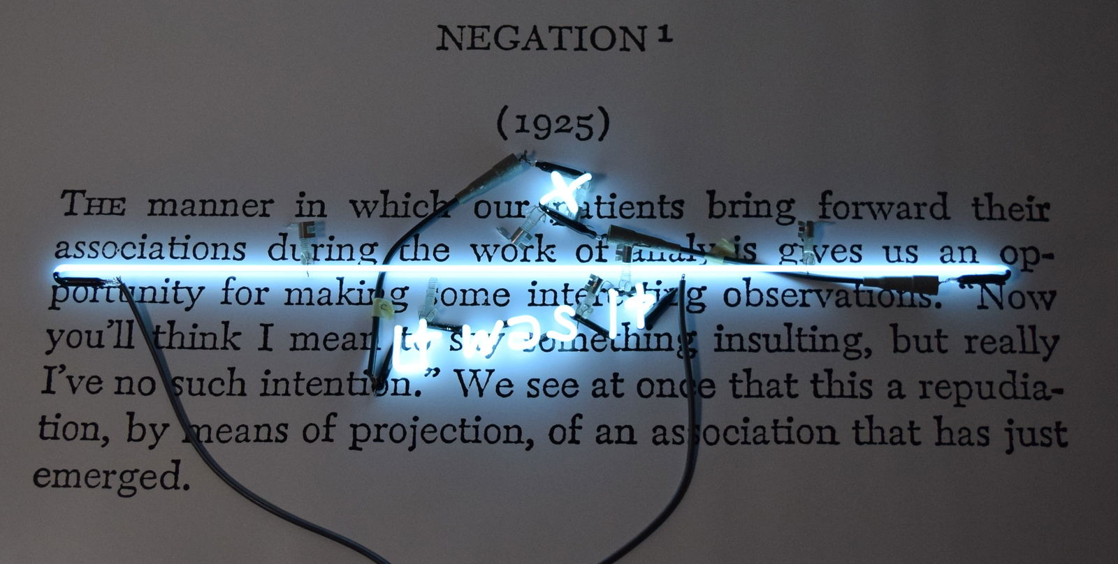 Joseph Kosuth It Was It (Project X) Neon (1 of 19)