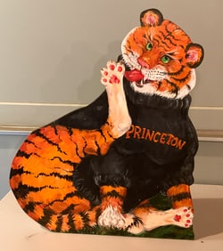 Dale Murena, Princeton Tiger Mascot on Board
