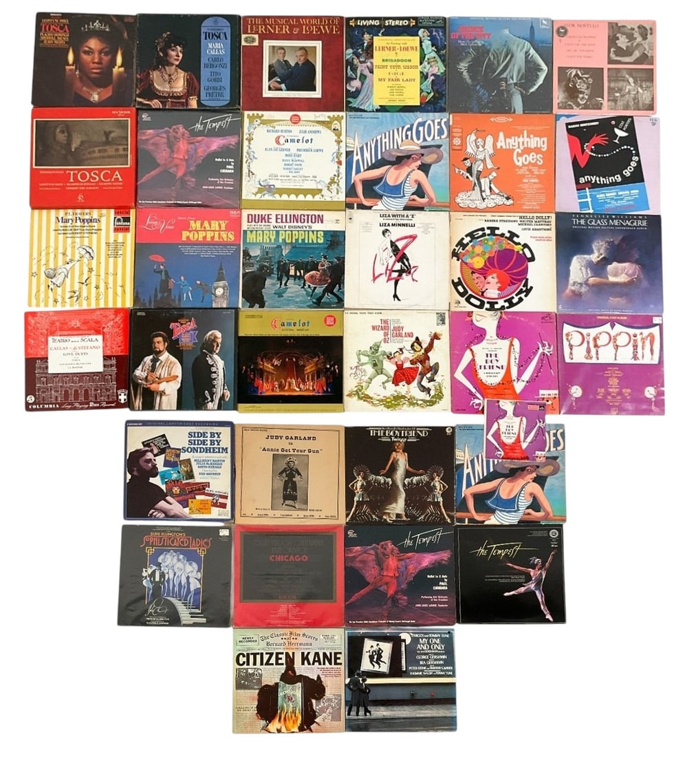 Group of 35 Records Various Productions: Group of 35 records for various productions, most shows Tony Walton worked on, including The Tempest, Anything Goes, Camelot, The Boy Friend, Pippin, Tosca. All as is and untested.