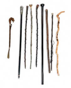 Group of 9 Canes, Walking Sticks, Shoehorn