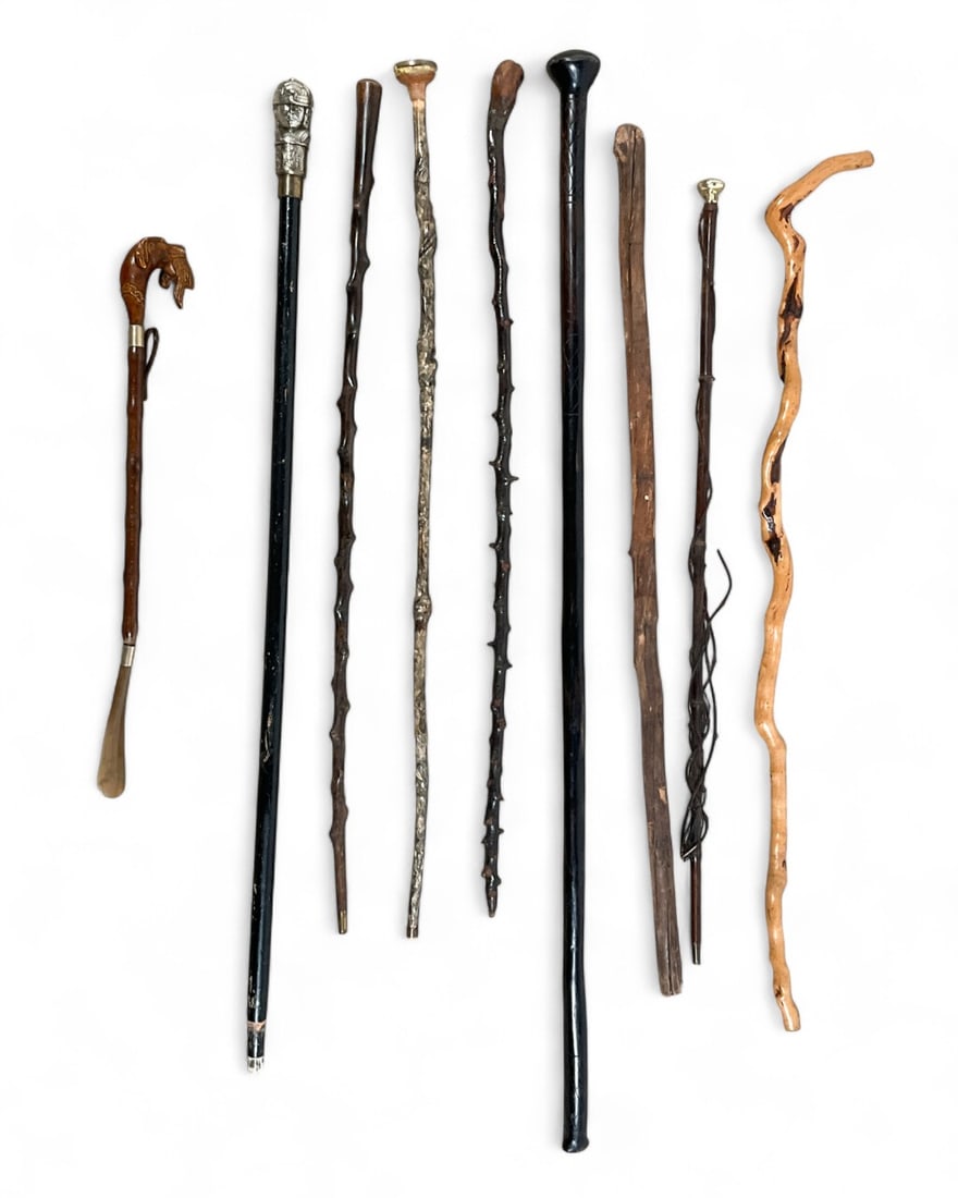 Group of 9 Canes, Walking Sticks, Shoehorn: Group of 9 canes, walking sticks, and a shoe horn. Including figural handles, silver tone soldier handle unscrews as lighter. Longest 47 1/2"L, Shoehorn with a hunting dog with a bird in mouth 22"L. A
